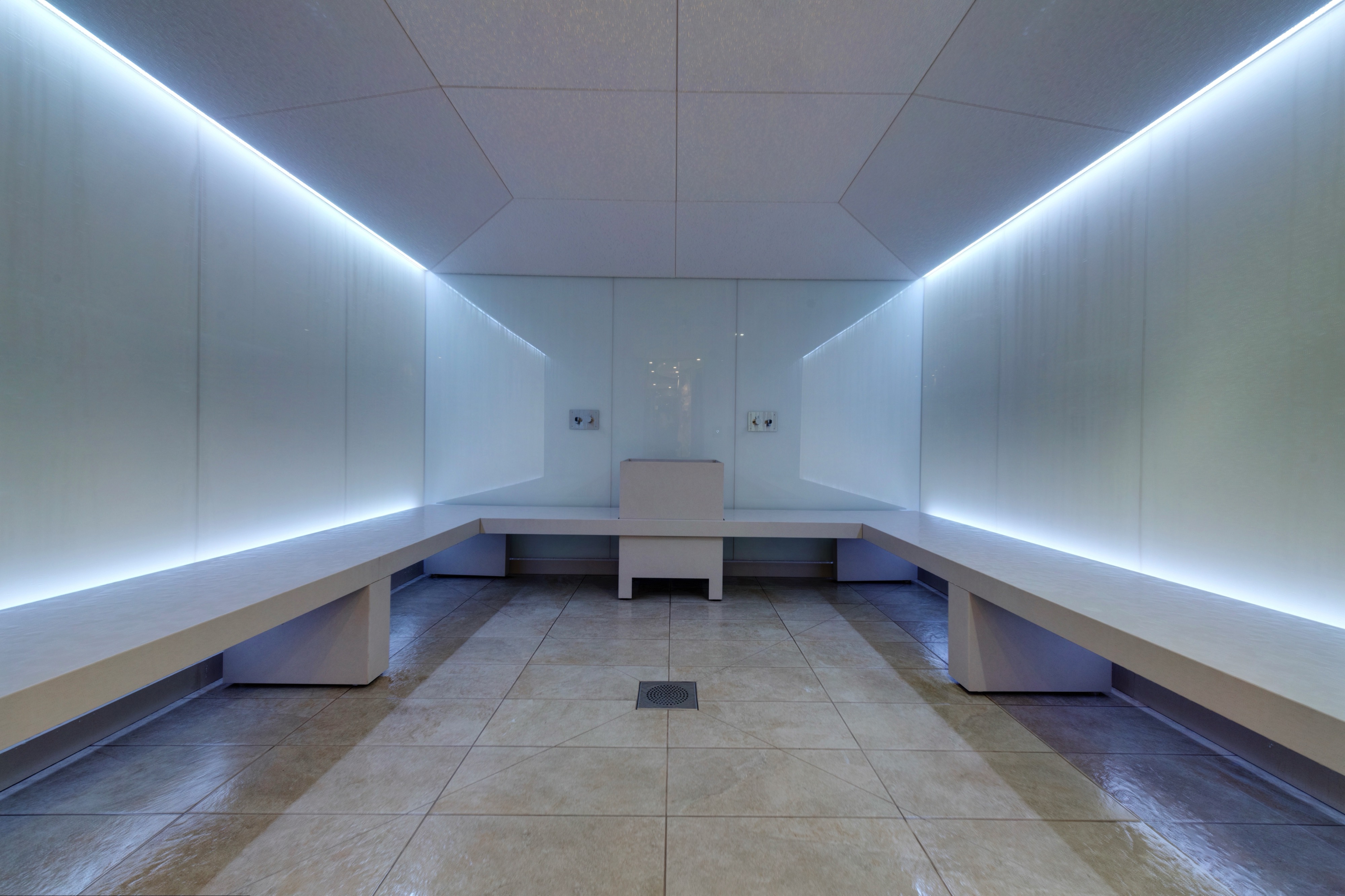 MSC Virtuosa - MSC Aurea Spa